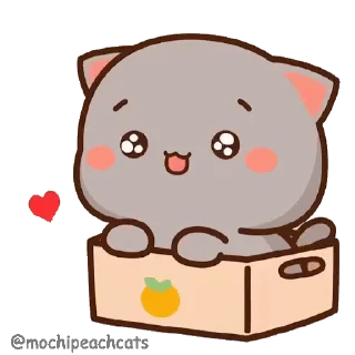 😻 emoji @stickers_gifs_store ❤️@ItzMe_Cutuu 🦋🦋 — @stckrRobot Telegram sticker 13 of 50