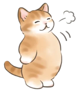 🐈 emoji ₍ 𑀝ᥲᴛ sᴛiᥴκᥱr ₎ ˚₊· ♡ @mewsticks Telegram sticker 19 of 40