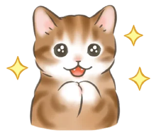 🐈 emoji ₍ 𑀝ᥲᴛ sᴛiᥴκᥱr ₎ ˚₊· ♡ @mewsticks Telegram sticker 15 of 40