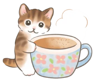 🐈 emoji ₍ 𑀝ᥲᴛ sᴛiᥴκᥱr ₎ ˚₊· ♡ @mewsticks Telegram sticker 18 of 40
