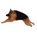 😂 emoji @JokerRonaldo's kang pack Vol.2 (Animated) Telegram sticker 2 of 50