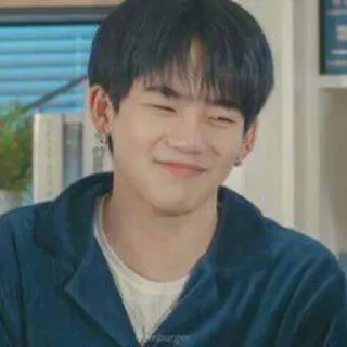 🐷 emoji ꀎ choi hyunsuk ⸝⸝ @kannahashimotou Telegram sticker 1 of 18