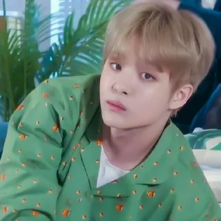 Sticker from [🐼] jihoon @kannahashimotou
