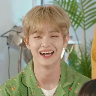 Sticker from [🐼] jihoon @kannahashimotou