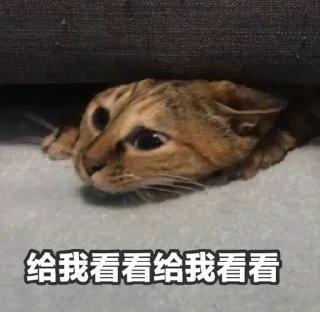 ⭐ emoji 啊.啊~啊？啊！ @tiewing Telegram sticker 17 of 96