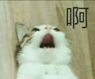 😩 emoji 啊！！！ Telegram sticker 5 of 17