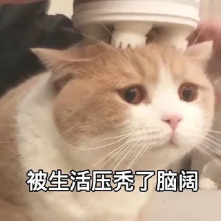 😞 emoji 啊！！！ Telegram sticker 2 of 17