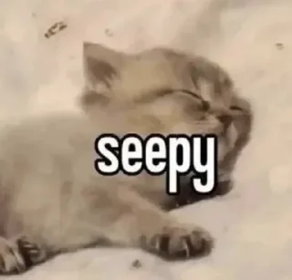 😴 emoji Cats 5 @aizenstickerpack Telegram sticker 24 of 31