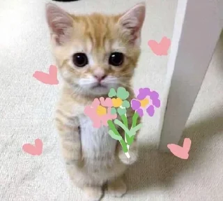💐 emoji Cats 5 @aizenstickerpack Telegram sticker 13 of 31