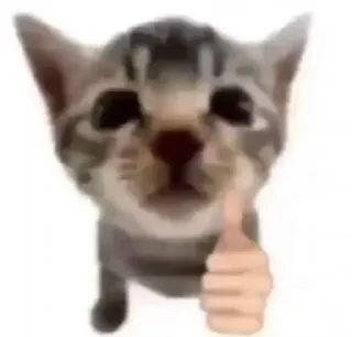 👍 emoji Cats 5 @aizenstickerpack Telegram sticker 12 of 31