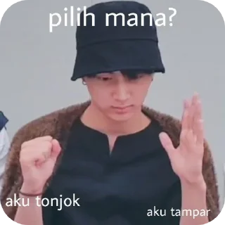 Sticker from meme kpop @arukastiker