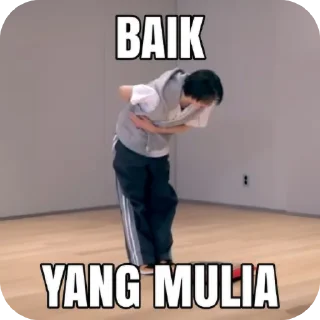Sticker from meme kpop @arukastiker