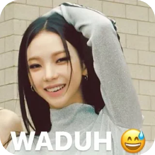 🙂 emoji meme aespa @arukastiker Telegram sticker 6 of 42