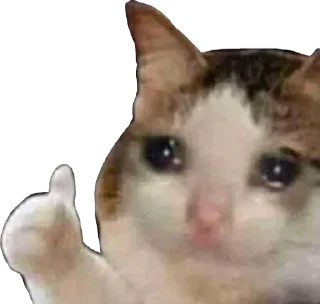 Sticker from 🇮🇳मेNTáLĦGOD🇮🇳s kang pack