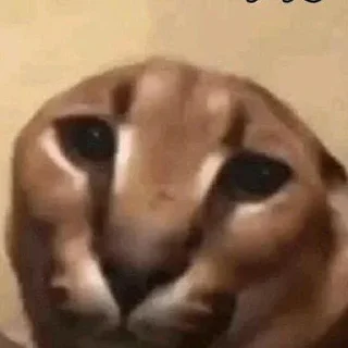 Sticker from Anirudh's sticker pack