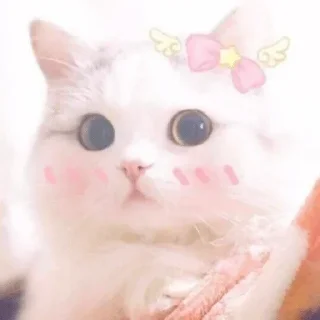 🪐 emoji Srishti's sticker pack (@Shinobu_robot) Telegram sticker 18 of 25