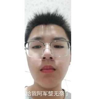 Sticker from 抽象骡子附加包