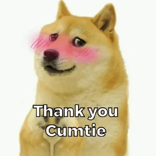 Sticker from Hemidactylus's video pack 2