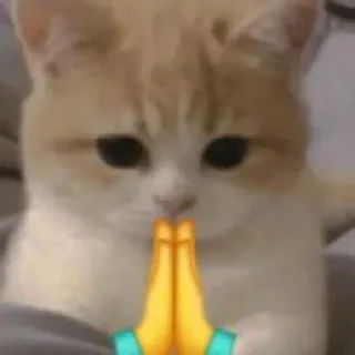 🥺 emoji gatau Telegram sticker 15 of 29