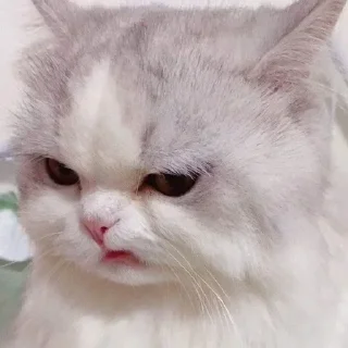 😒 emoji Iɴᴅʀᴀᴊɪᴛʜ • 🇮🇳 •'s Kang Sticker Pack Telegram sticker 8 of 120