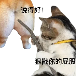 🐳 emoji 代开会员/图标制作/飞机号  @dahuzi @b000000 Telegram sticker 20 of 120