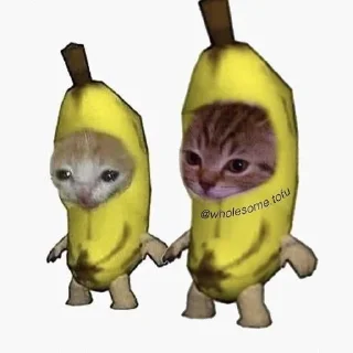 🤔 emoji Cats 4 @aizenstickerpack Telegram sticker 19 of 65
