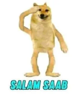 🙏 emoji ༆ _♥️♡🅡σƈƙʂ_🅖αɾʋҽʂԋ♡❤༄ 🇮🇳❤🇵🇰s kang pack Telegram sticker 2 of 97