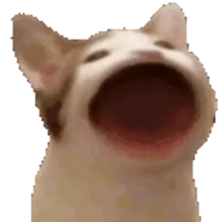 😮 emoji 𝑵𝒂𝒎𝒊 ִֶָ's Video Pack (@Zeroo_Twoo_Bot) Telegram sticker 2 of 26