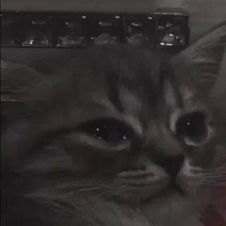 Sticker from ...... AJAY,,,,,,,'s video pack (@Zeroo_Twoo_Bot)