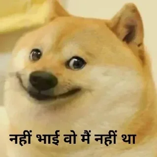 Sticker from Hindi Cheems @ManasTheKing