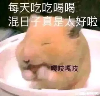 Sticker from Entic 静态贴纸包(0)