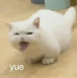 👀 emoji 兔纸 静态贴纸包(0) Telegram sticker 17 of 49