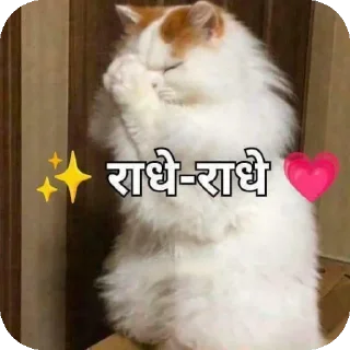 🐱 emoji ᥫ᭡_Ƭꫝɴɪ፝֟ꜱʜꫝ_'s video pack (@YaeMiko_Roxbot) Telegram sticker 16 of 70