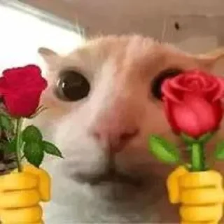😅 emoji 不三不四 Telegram sticker 15 of 61