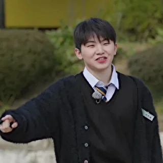 🩻 emoji @STIKERSVT : Woozi GOSE SPECIAL I Know & Don't Know Telegram sticker 10 of 33