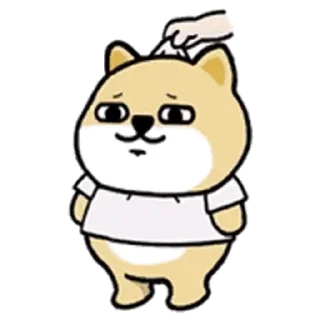 💬 emoji 小肥柴日常3_kal Telegram sticker 19 of 24