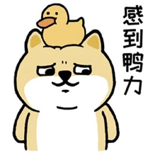 Sticker from 小肥柴2