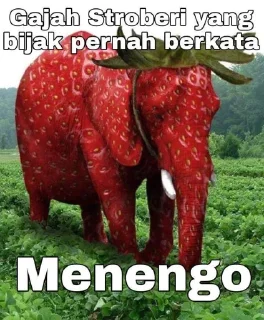 Sticker from Wong jowo @stiker_memee