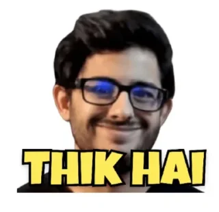 😊 emoji @stickersbag Carryminati 😉 💖 Telegram sticker 6 of 65