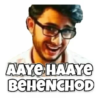 😂 emoji @stickersbag Carryminati 😉 💖 Telegram sticker 24 of 65