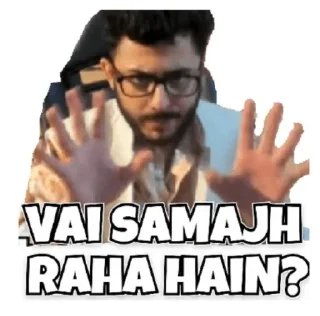 🧐 emoji @stickersbag Carryminati 😉 💖 Telegram sticker 23 of 65