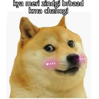 Sticker from doge hu vro (M𝖆𝖌𝖓𝖚𝖒)