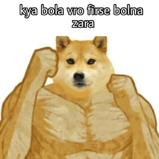 Sticker from doge hu vro (M𝖆𝖌𝖓𝖚𝖒)