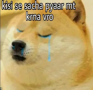 Sticker from doge hu vro (M𝖆𝖌𝖓𝖚𝖒)