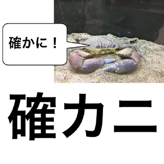 Sticker from fish