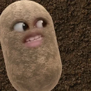 Sticker from kentang is potato