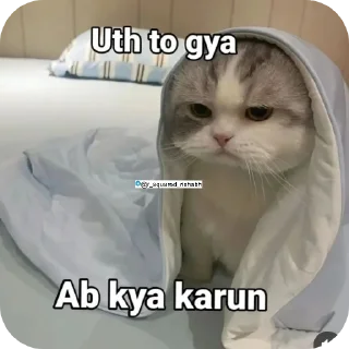 🖼 emoji Billiyokapamk @r_squared_rishabh Telegram sticker 16 of 48