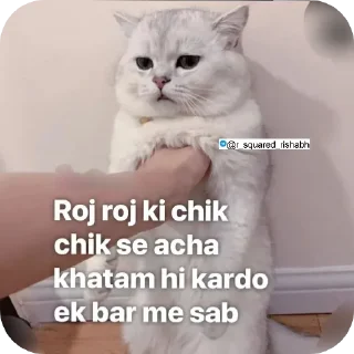 🐱 emoji Billiyokapamk @r_squared_rishabh Telegram sticker 11 of 48