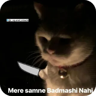 👍 emoji Billiyokapamk @r_squared_rishabh Telegram sticker 9 of 48