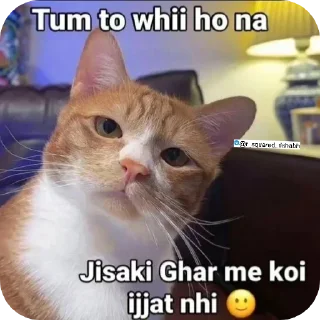 😐 emoji Billiyokapamk @r_squared_rishabh Telegram sticker 24 of 48